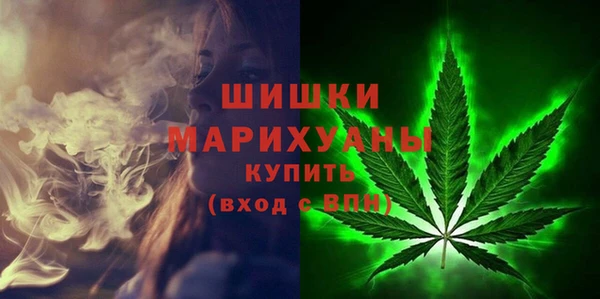 индика Чекалин