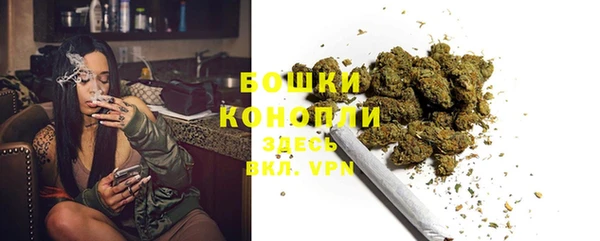 прущие грибы Чердынь