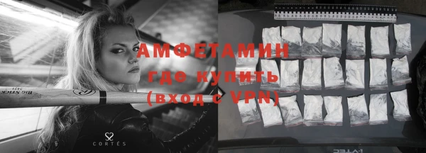 индика Чекалин