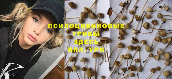 прущие грибы Чердынь