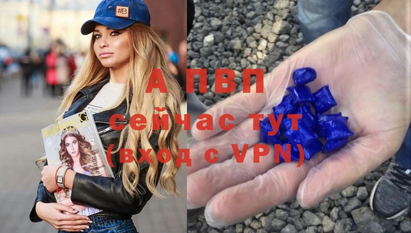 прущие грибы Чердынь