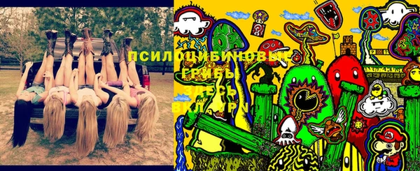 индика Чекалин