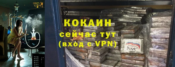 индика Чекалин