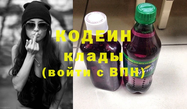 индика Чекалин