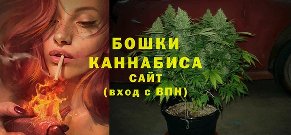 прущие грибы Чердынь