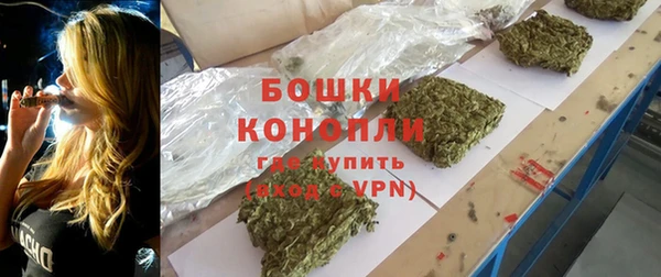 прущие грибы Чердынь