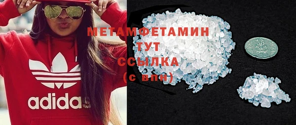 прущие грибы Чердынь
