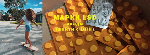 прущие грибы Чердынь