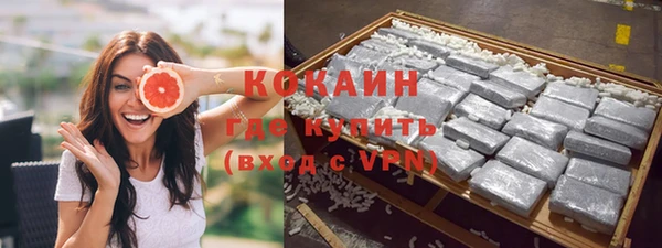 прущие грибы Чердынь