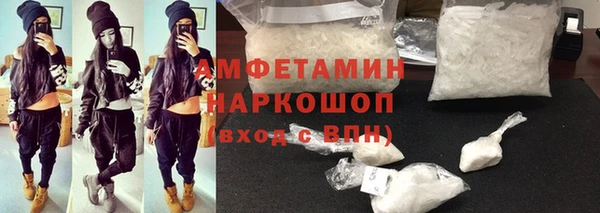индика Чекалин