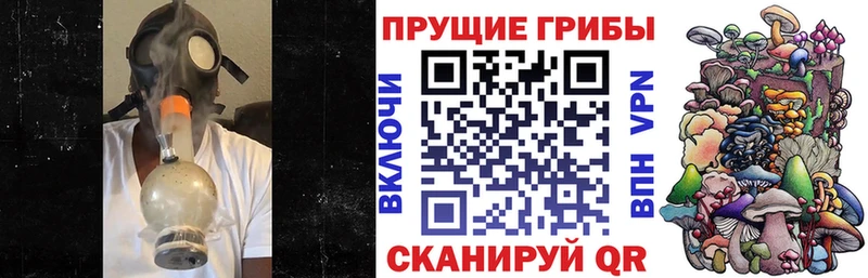 Псилоцибиновые грибы Psilocybine cubensis  Купить  Цивильск 