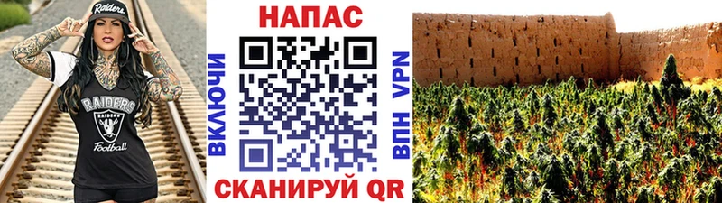 Купить где  Цивильск  Каннабис AK-47 